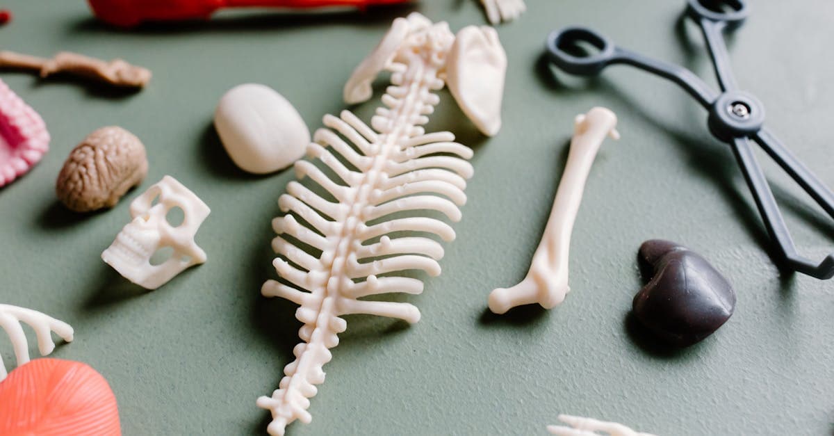 Cover Image for Navigating the Journey of Nursing Degrees