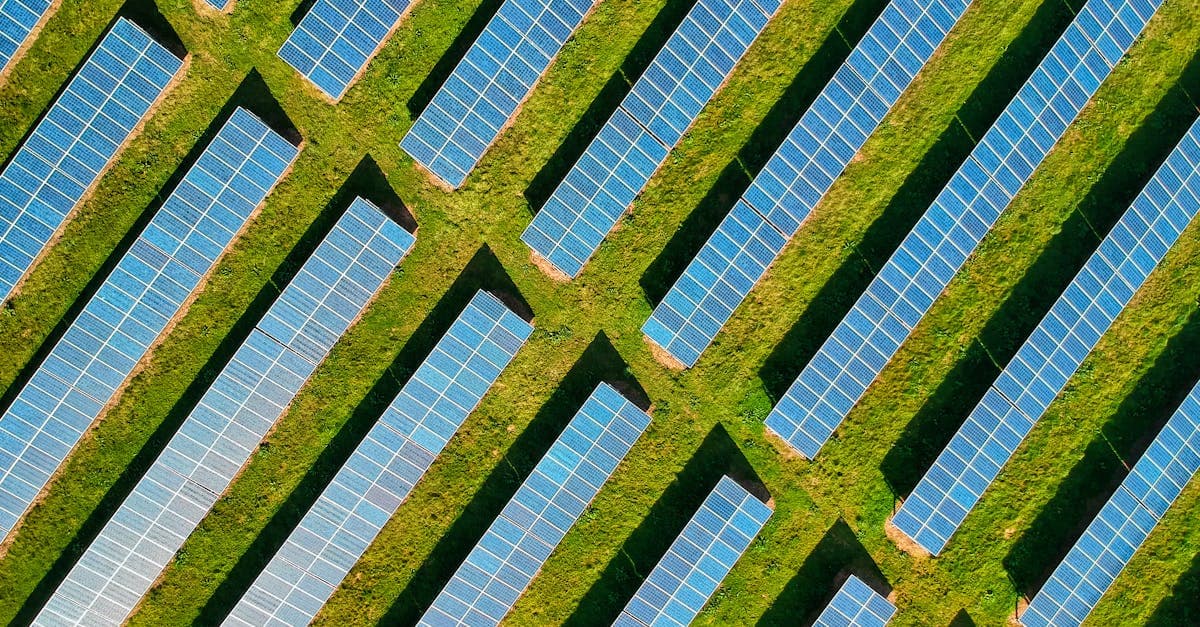 Cover Image for Harnessing Solar Power: The Future of Clean Energy
